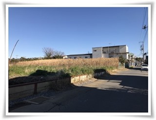 松戸市秋山の売地は資材置場用地にできる平坦地 地目は原野 1,047㎡４２５坪 ２９８０万円